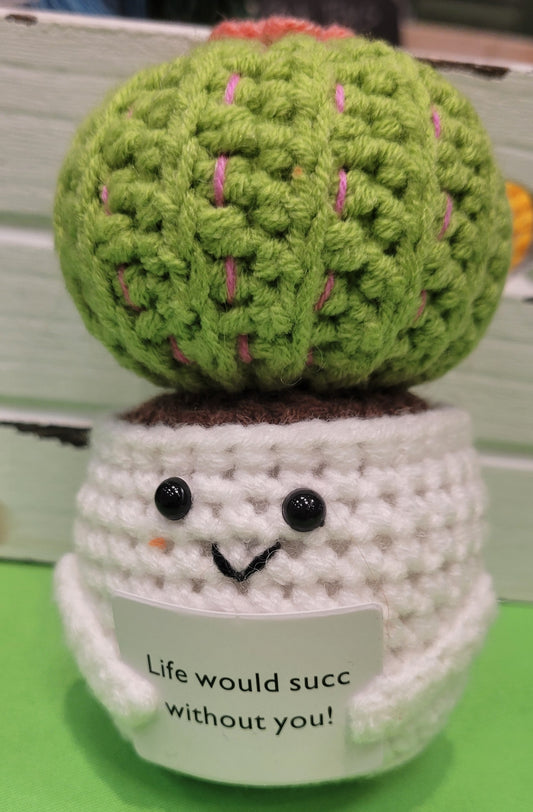 Cactus