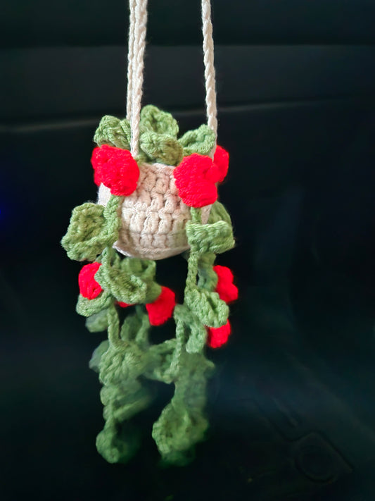Hanging Plants